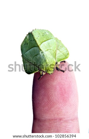 Similar – Image, Stock Photo A finger ring, spontaneously woven from blades of grass on a walk.