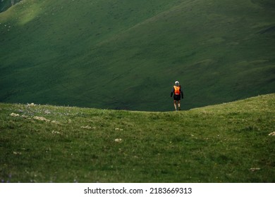 Male Trail Runner Running Mountain Meadow