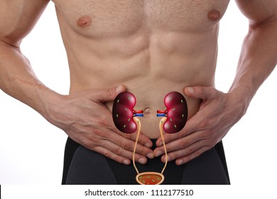 Male Urinary Tract Infection Problems.