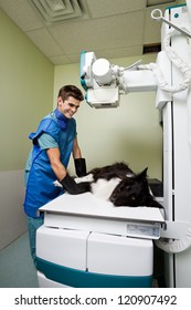 Male Vet Taking Xray Of Large Dog