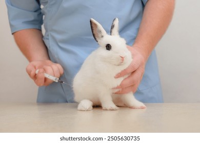 male veterinarian giving vaccine injections to white with black eyes baby rabbit. care and treatment of rodents in veterinary clinic - Powered by Shutterstock