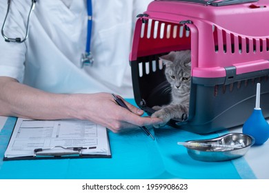 Male veterinarian takes notes on health check of gray Scottish Straight kitten in animal carrier on examination table in clinic. Veterinarian wiriting on clipboard near tabby cat. Check health animal.