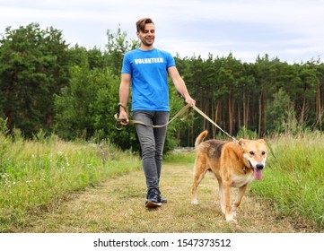 Male volunteer with homeless dog at animal shelter outdoors - Powered by Shutterstock