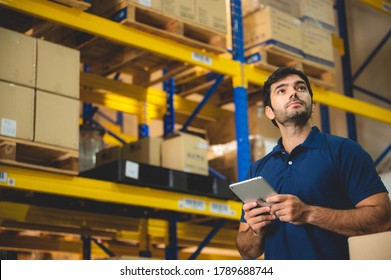 Male warehouse worker working for check and analyze newly arrived goods for further placement in storage department. Employee organizing goods distribution to the market - Powered by Shutterstock