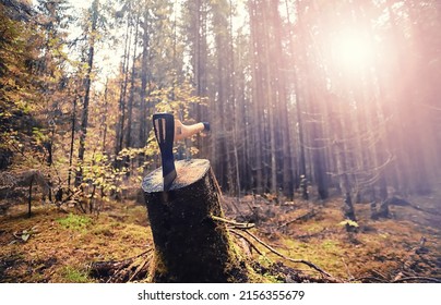 Male Worker With Ax Chopping A Tree In The Forest.