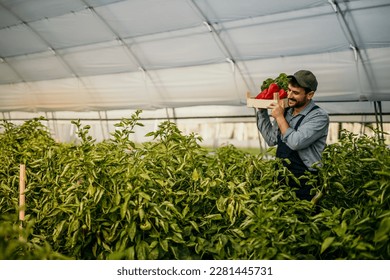 Male worker carrying a crate full of fresh produce in a farmer's market. - Powered by Shutterstock