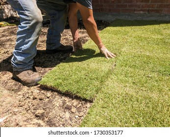 Male worker installing zoysia grass sods after raking the soil smooth - Shutterstock ID 1730353177