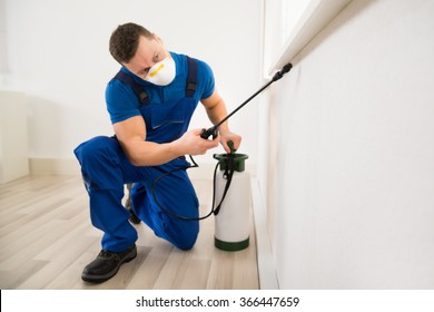 Male worker spraying pesticide on window corner at home
