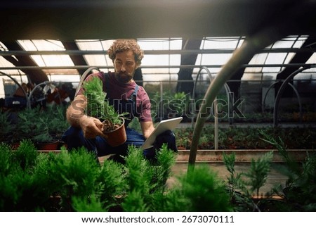 Male worker using touchpad while checking quality of potted plants in a greenhouse. Copy space. 