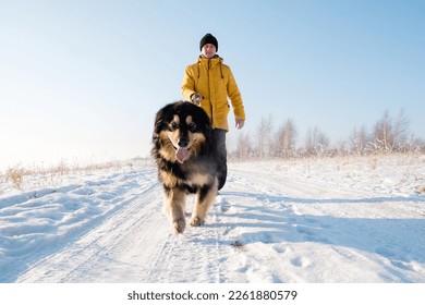 Male in yellow coat walking with his big black dog on winter background. Family winter activity with pet on sunny day outdoor. Mongolian dog breed. - Powered by Shutterstock