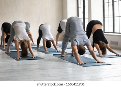 Male Yogi Coach And Multiracial Group Of Young People In Comfy Sportswear Performing Downward-facing Dog Asana During Yoga Class Session Process, Physical Activity, Body And Mind Care Wellness Concept