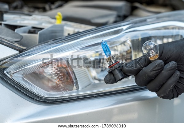 Male\'s hand holding new halogen car lamp,\
headlight replacement\
concept.