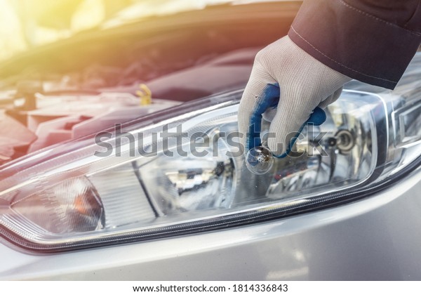 Male\'s hand holding new halogen car lamp,\
headlight replacement\
concept.