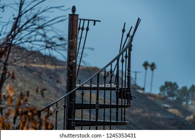 Malibu After Woolsey Fire Burnt Landscape