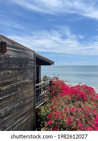 Malibu Beach House With Flower Garden, California 