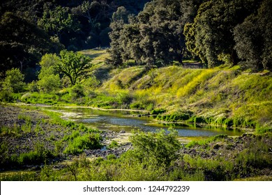 Malibu Creek State Park