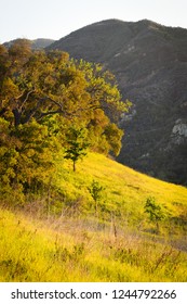 Malibu Creek State Park