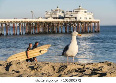 Malibu Pier Los Angeles Beach