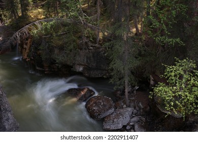 Maligne Canyon Jasper National Park Alberta Canada In Summer