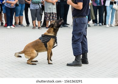 292 German Belgian Border Images, Stock Photos & Vectors 