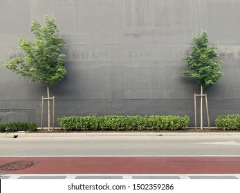 Mall Building Exterior Wall. Empty Banner Wall Of The Mall Street Side View Advertising Background. Modern City Road Environment.