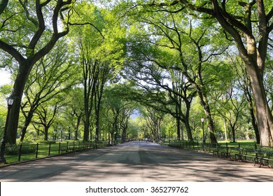 the mall at central park