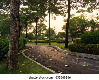 The Mall At Central Park