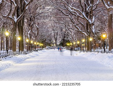 The Mall In Central Park, New York City