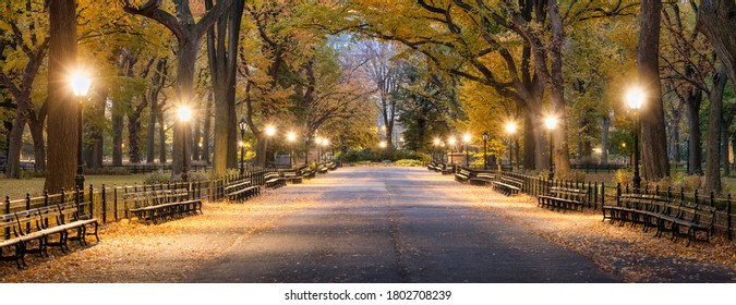 The Mall In Central Park At Night, New York City, USA