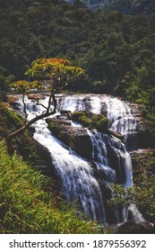 Mallalli Falls,situated In Kodagu District Of Karnataka,India.