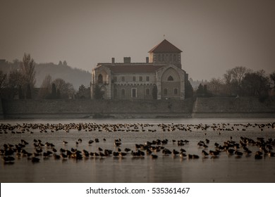 Mallards and wild geese on the Tata-Old lake