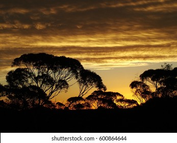 Mallee Sunset Australia. 
