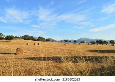 Mallorca Island- Inca- straw bales - Paja apilada- balas de paja- Agricultura Interior - Stacked straw-