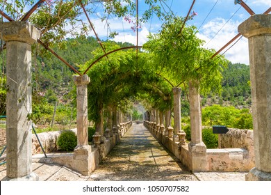 1000 Mediterrane Garten Stock Images Photos Vectors Shutterstock