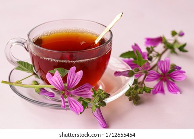 Mallow Herb And Mallow Flower Tea In Cup.