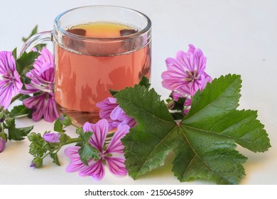 Mallow Herb And Mallow Flower Tea In Cup.