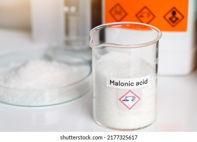 Malonic Acid Glass Chemical Laboratory Industry Stock Photo 2177325617 ...