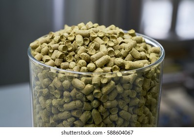 Malt Background. Ingredient For Beer. Fragrant Hop Granules. Glass Full Of Hop Pellets.