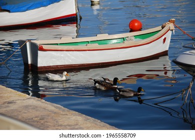 Malta, the boat is in bright blue water and two ducks are sailing