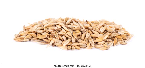 Malted Barley Grains, Isolated On White Background. Barley Seed Close Up.