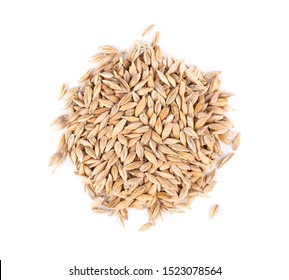 Malted barley grains, isolated on white background. Barley seed close up. Top view. Macro. - Shutterstock ID 1523078564
