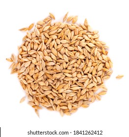 Malted Barley Grains, Isolated On White Background. Barley Seed Close Up. Top View.