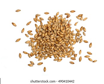 Malted Barley on White Background - Shutterstock ID 490410442