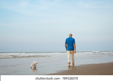 Maltese Dog And Male Owner Walking  At The Beach,view From Back Side