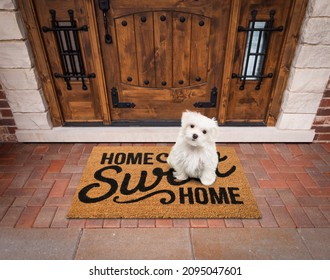 Maltese Puppy Sitting Home Sweet Home Welcome Mat At Front Door Of House.