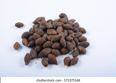 Malva nut tree Images, Stock Photos & Vectors | Shutterstock