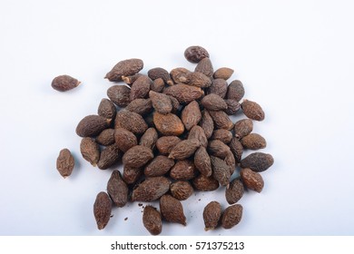 Malva nut tree Images, Stock Photos & Vectors | Shutterstock