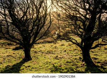 Malvern Hills Malvern Worcestershire UK