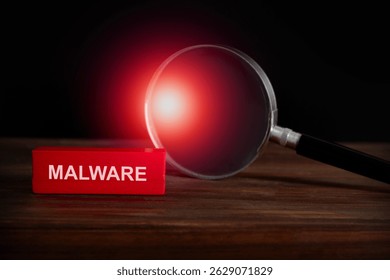 malware detection , virus scan , vulnerability concept