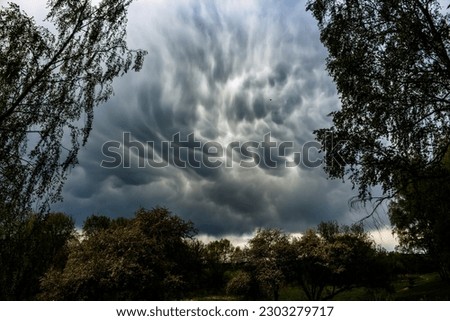 Mammatus cloud above the trees in the sky in contrast - a rare atmospheric phenomenon